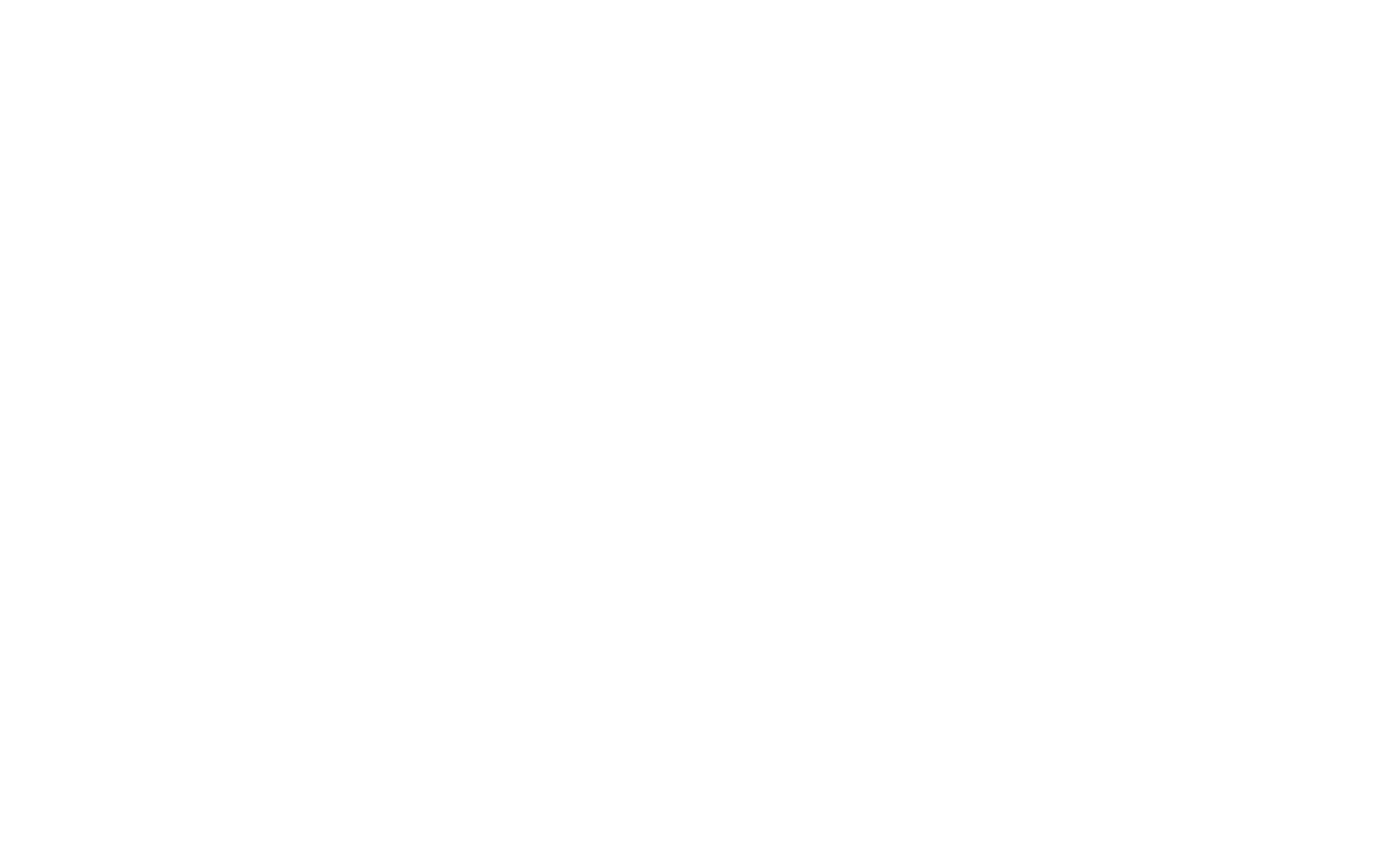 Young Director Award